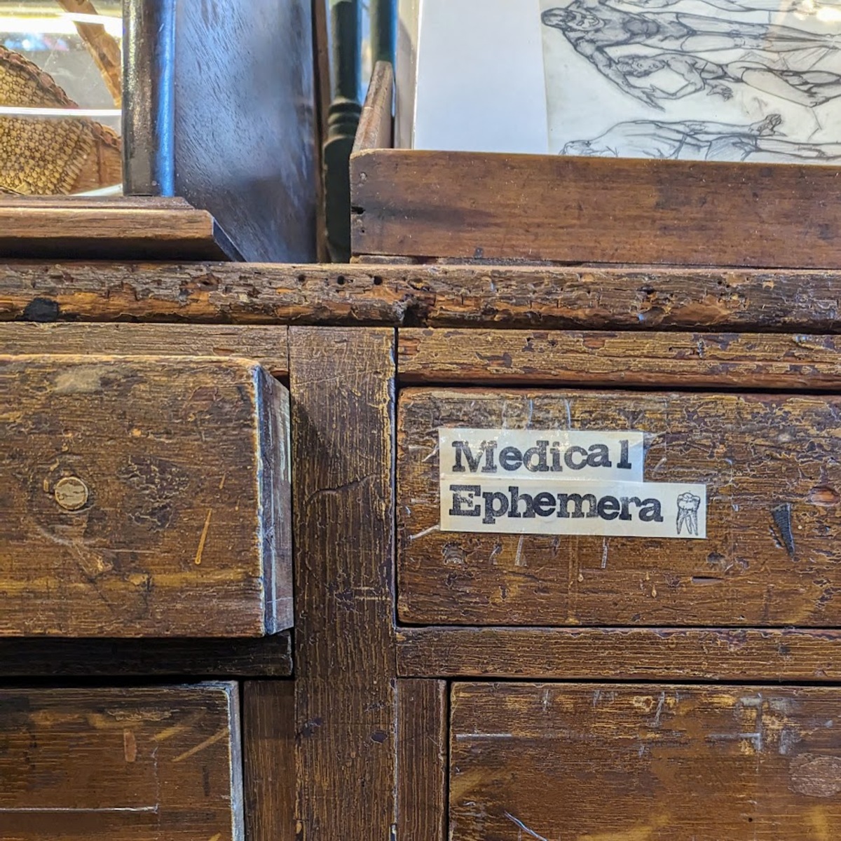 A printed label reading Medical Ephemera with a drawing of a tooth, taped to a drawer that looks like it could be hundreds of years old.