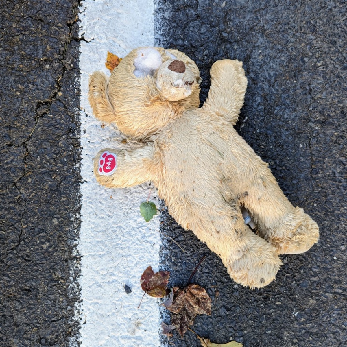 A teddy bear, missing its eyes, laying in the middle of the road.