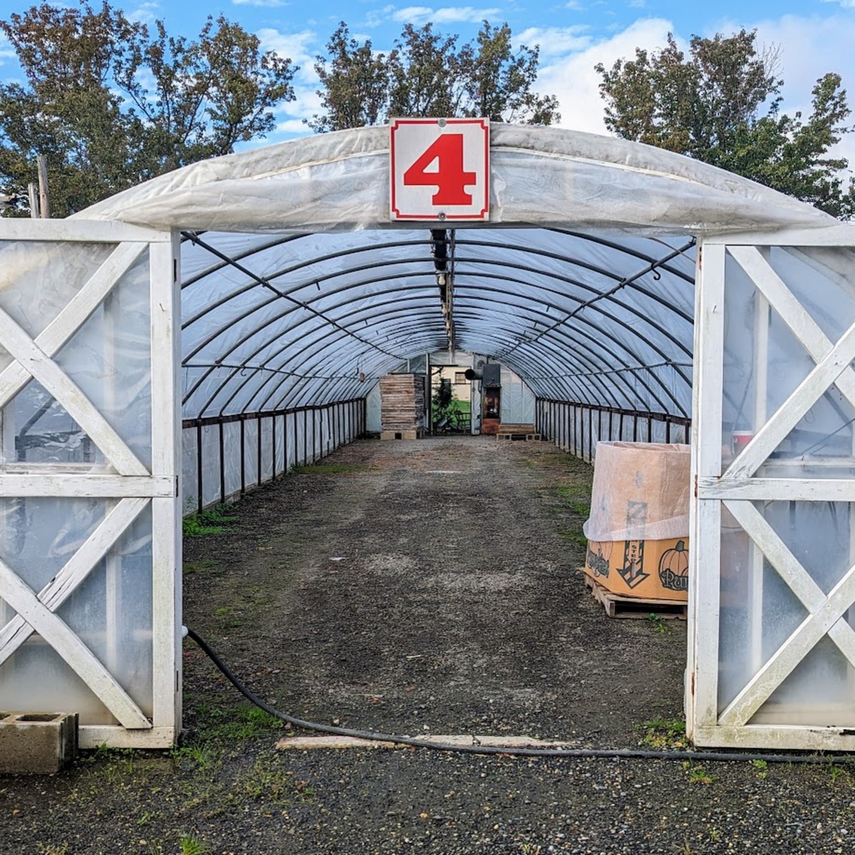 Looking into a long empty greenhouse, a single box toward the front open wooden doors. The number 4 in bright orange red hangs above the door.