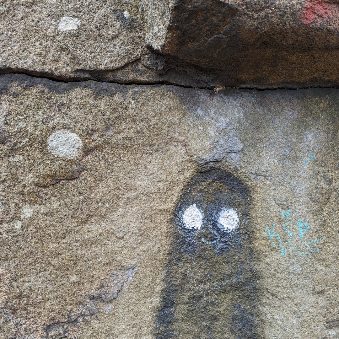 A large stone in the woods with a dark spot on it that someone drew eyes and a nose on.
