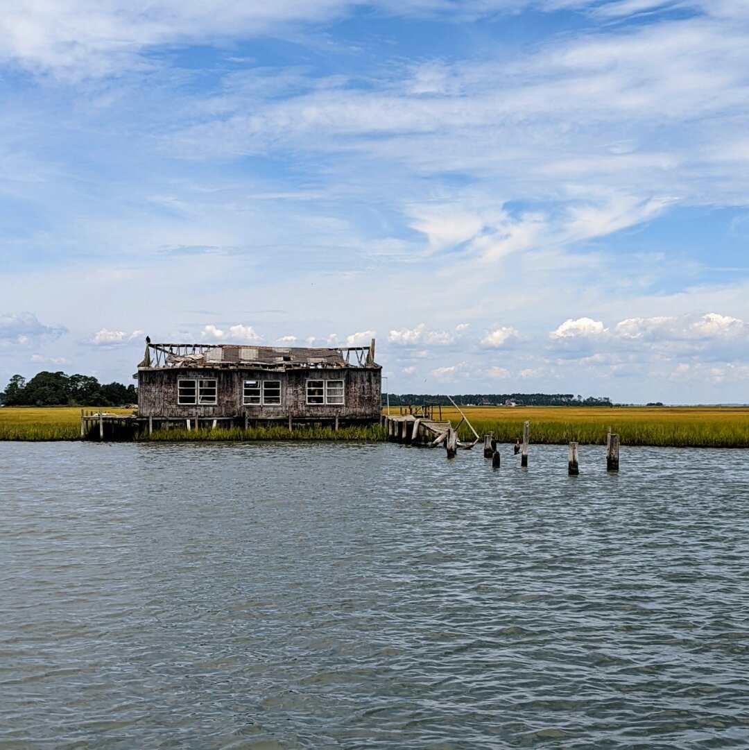 An abandoned house in the middle of marshland sitting up against the water - the roof is collapsed and their is remnants of a dock