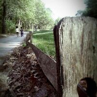 A wooden fence along a dirt path, with my two kids holding hands and running down it.