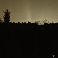 Silhouette of a tree line against a dark sky